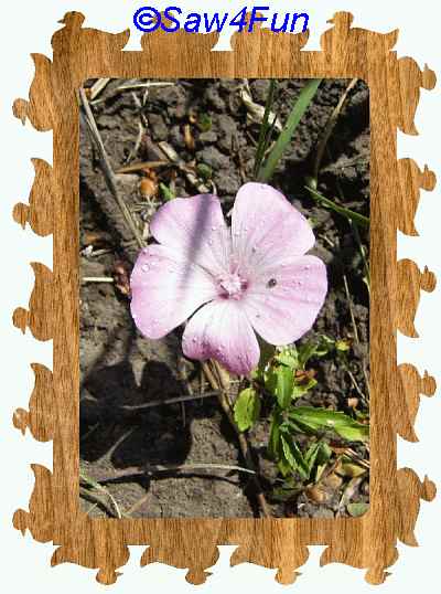 Duck Picture Frame Scroll Saw Pattern