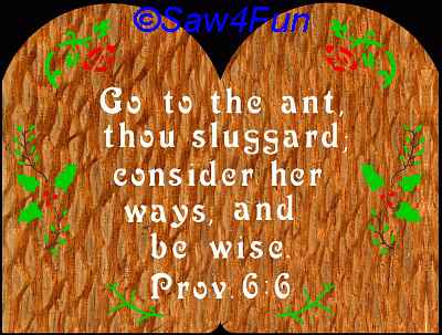 Proverbs 6:6 Bible Plaque Scroll Saw Pattern